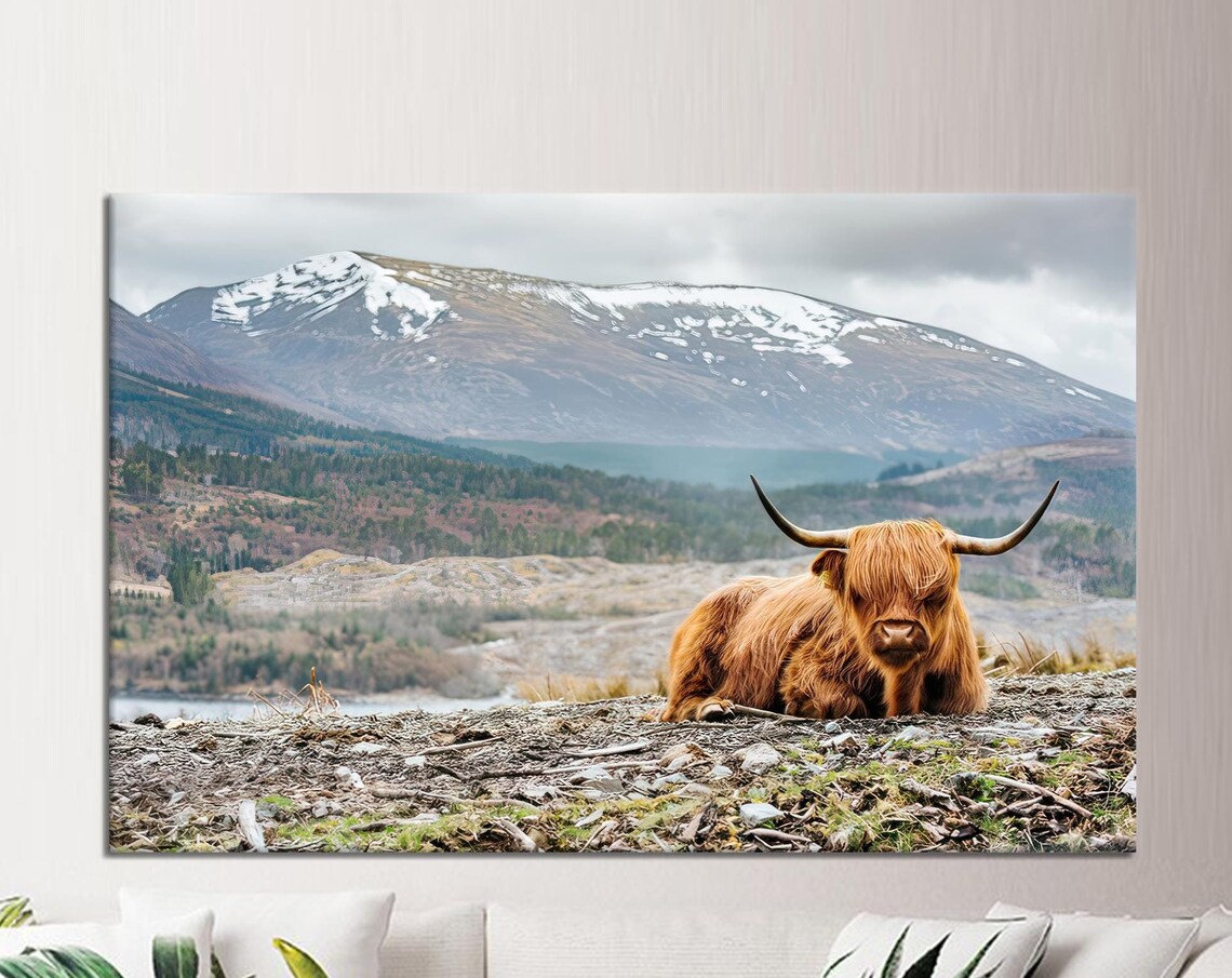 Highland Cow Resting Before Snowy Peaks Farmhouse Animal Poster
