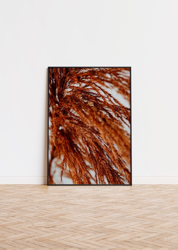 Pampas Grass Copper Plumes Photography Warm Botanical Modern Print