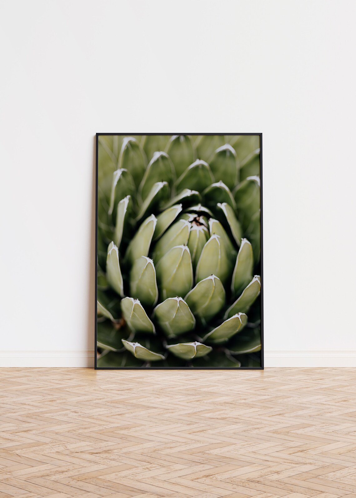 Green Succulent Close Up Botanical Nature Photography Poster