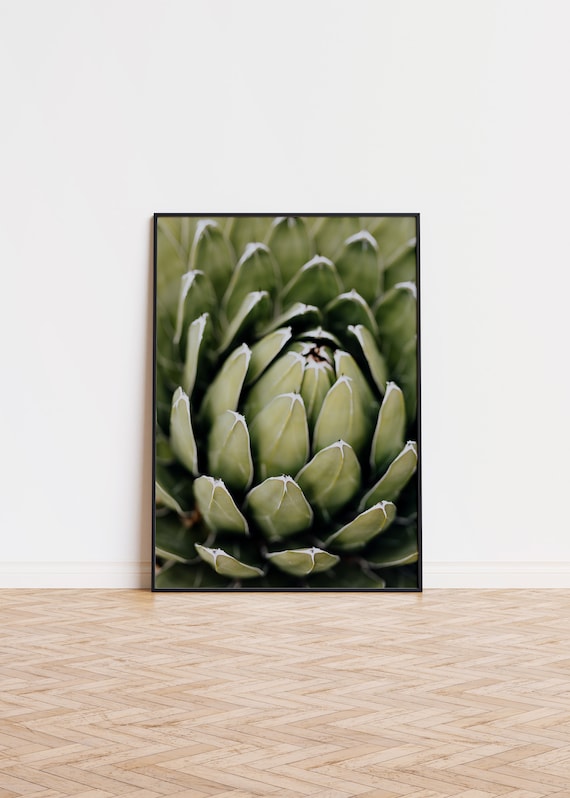 Green Succulent Close Up Botanical Nature Photography Poster