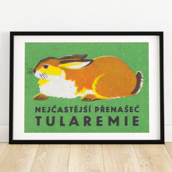 Sleeping Rabbit Vintage Czech Matchbox Label Tularemia Warning Green Art Poster