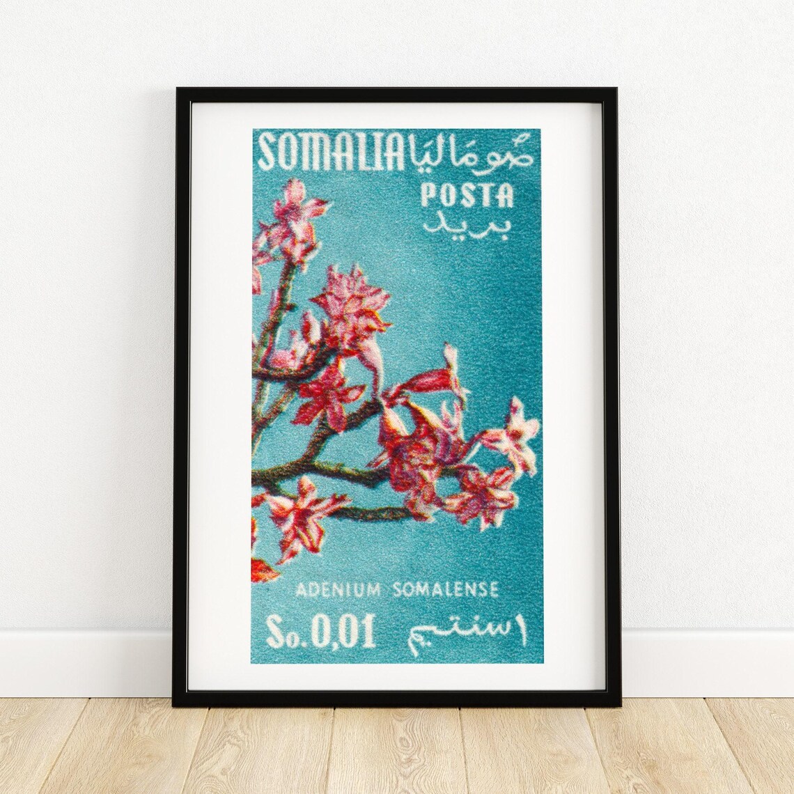 Somalia Stamp Adenium Somalense Pink Flowers Teal Vintage Art Poster