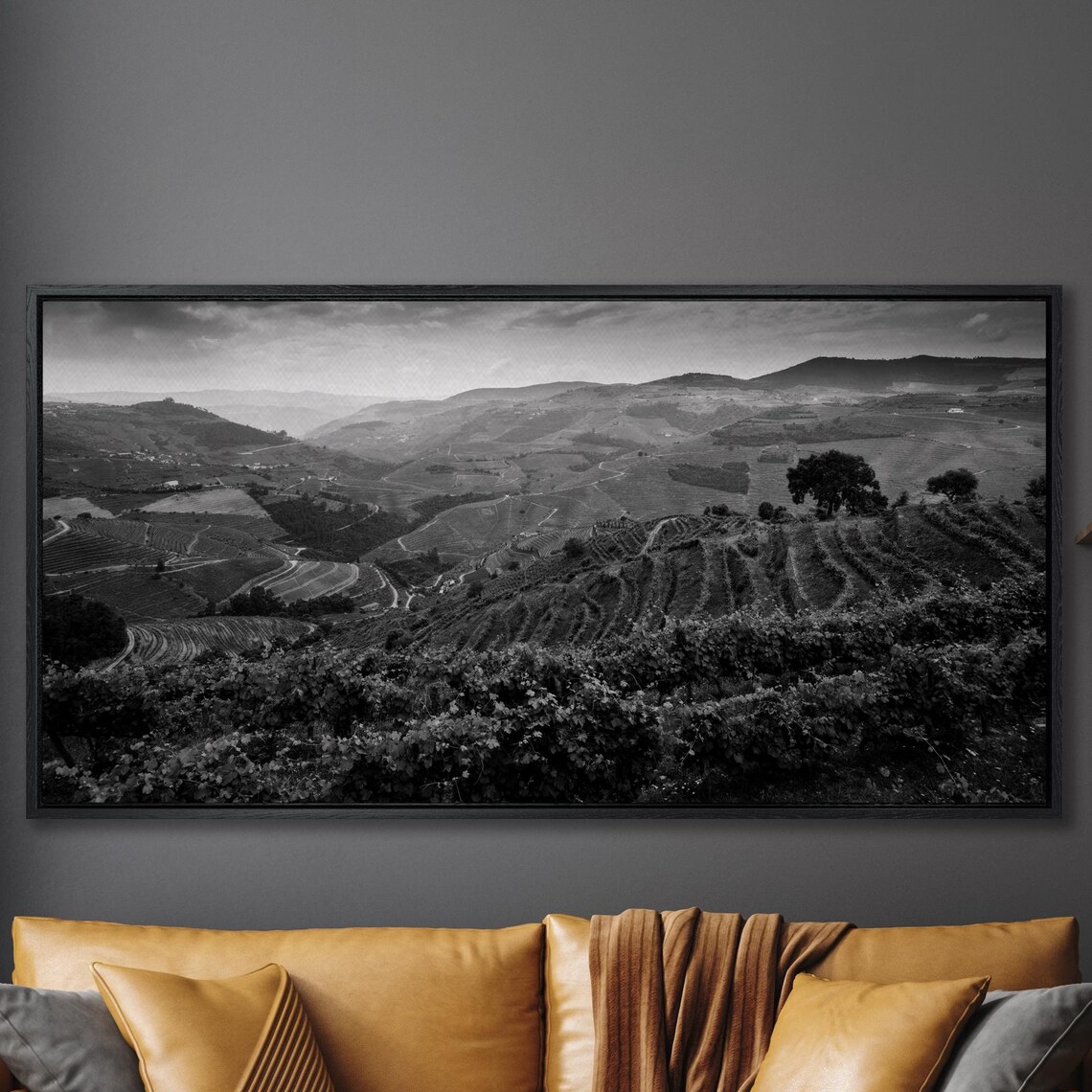 Black And White Douro Valley Vineyard Landscape Print