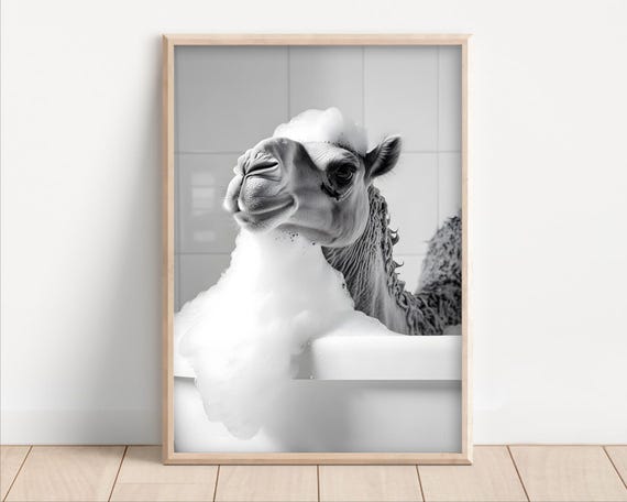 Camel Taking A Bubble Bath Poster Or Canvas Funny Bathroom Wall Art Animals In Bathtub Cute Laundry Room Decor Print