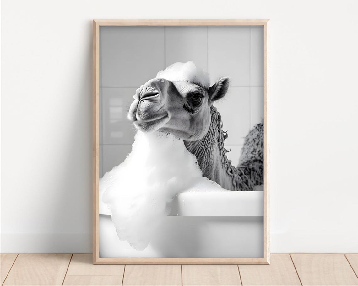 Camel Taking A Bubble Bath Poster Or Canvas Funny Bathroom Wall Art Animals In Bathtub Cute Laundry Room Decor Print