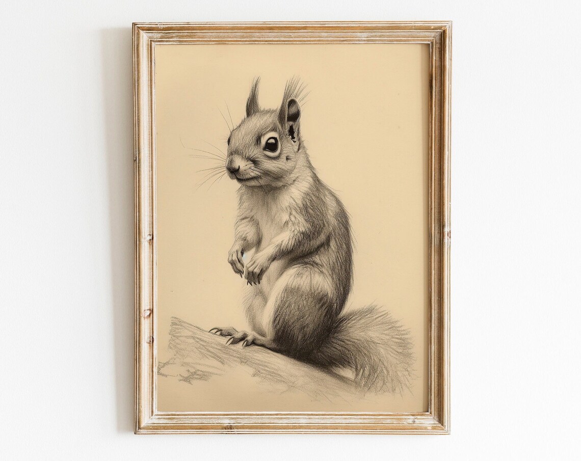 Vintage Squirrel Sepia Sketch Antique Woodland Animal Art Print