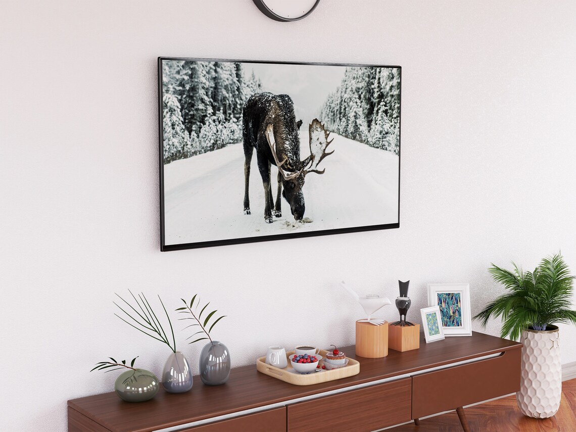 Winter Moose Walking Snowy Road Pine Forest Wildlife Photo Art Print - Image 2