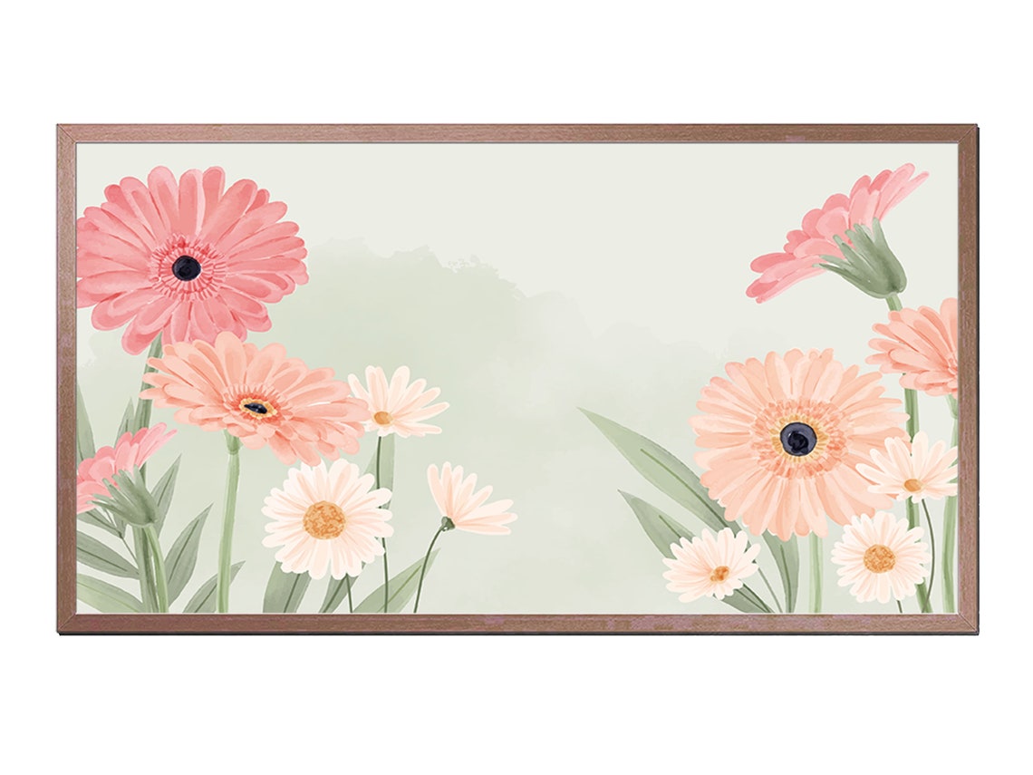 Pink Gerbera Daisy Blooms Soft Watercolor Floral Wall Art Print