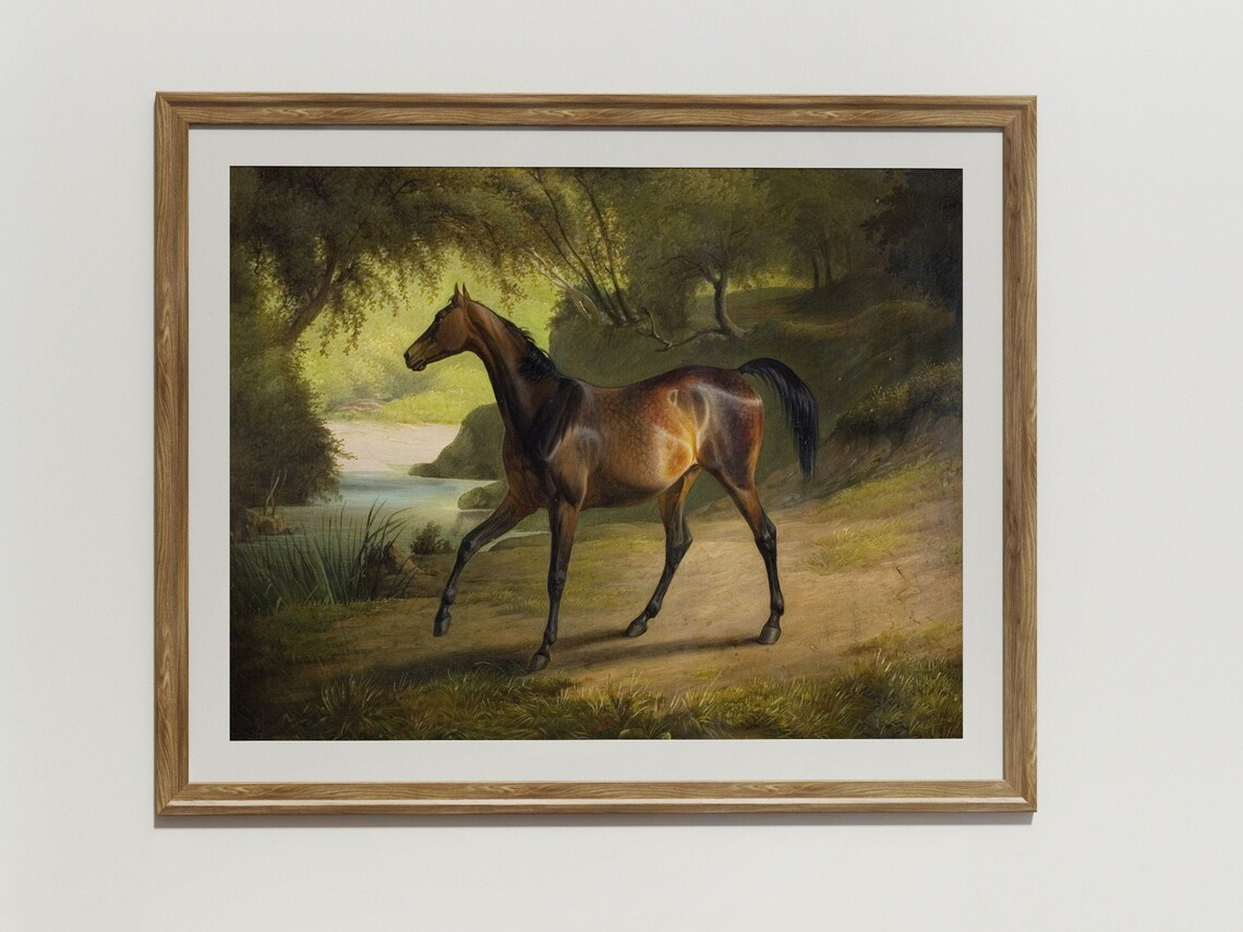 Bay Horse Standing In Sunlit Woodland Vintage Equestrian Art Poster - Image 2
