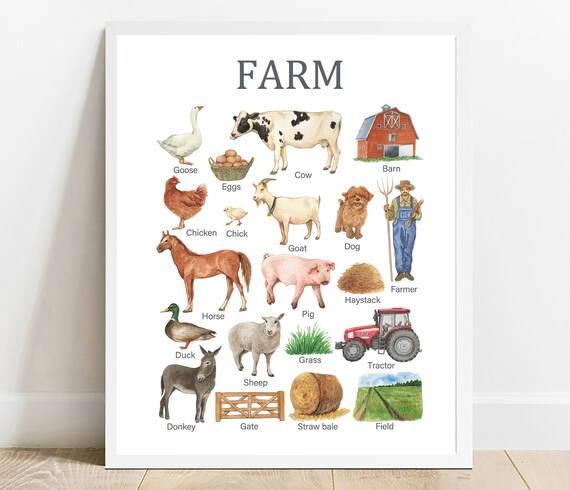 Watercolor Farm Animals Chart Educational Kids Nursery Poster