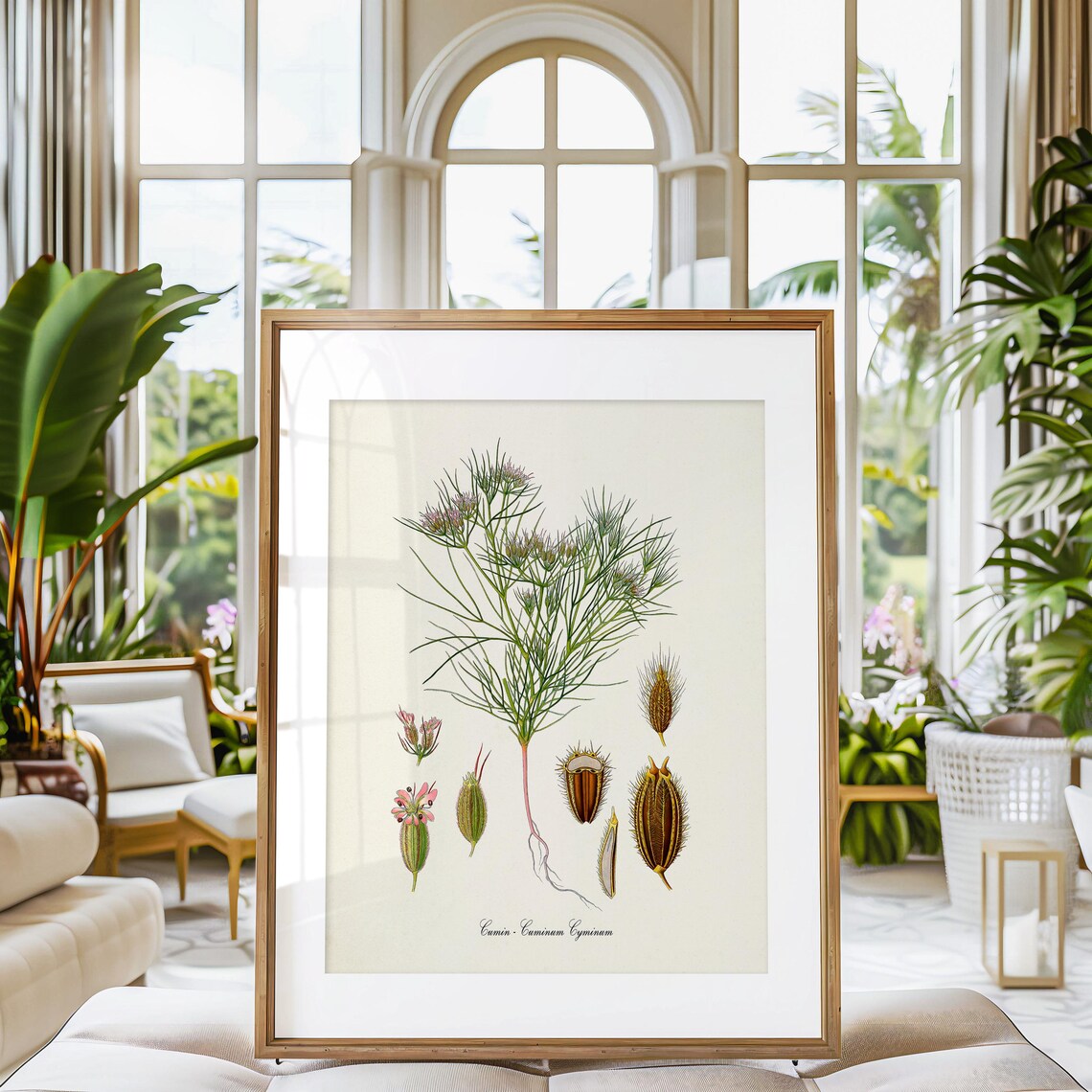 Cumin Botanical Art Print, Kitchen Wall Decor - Image 3