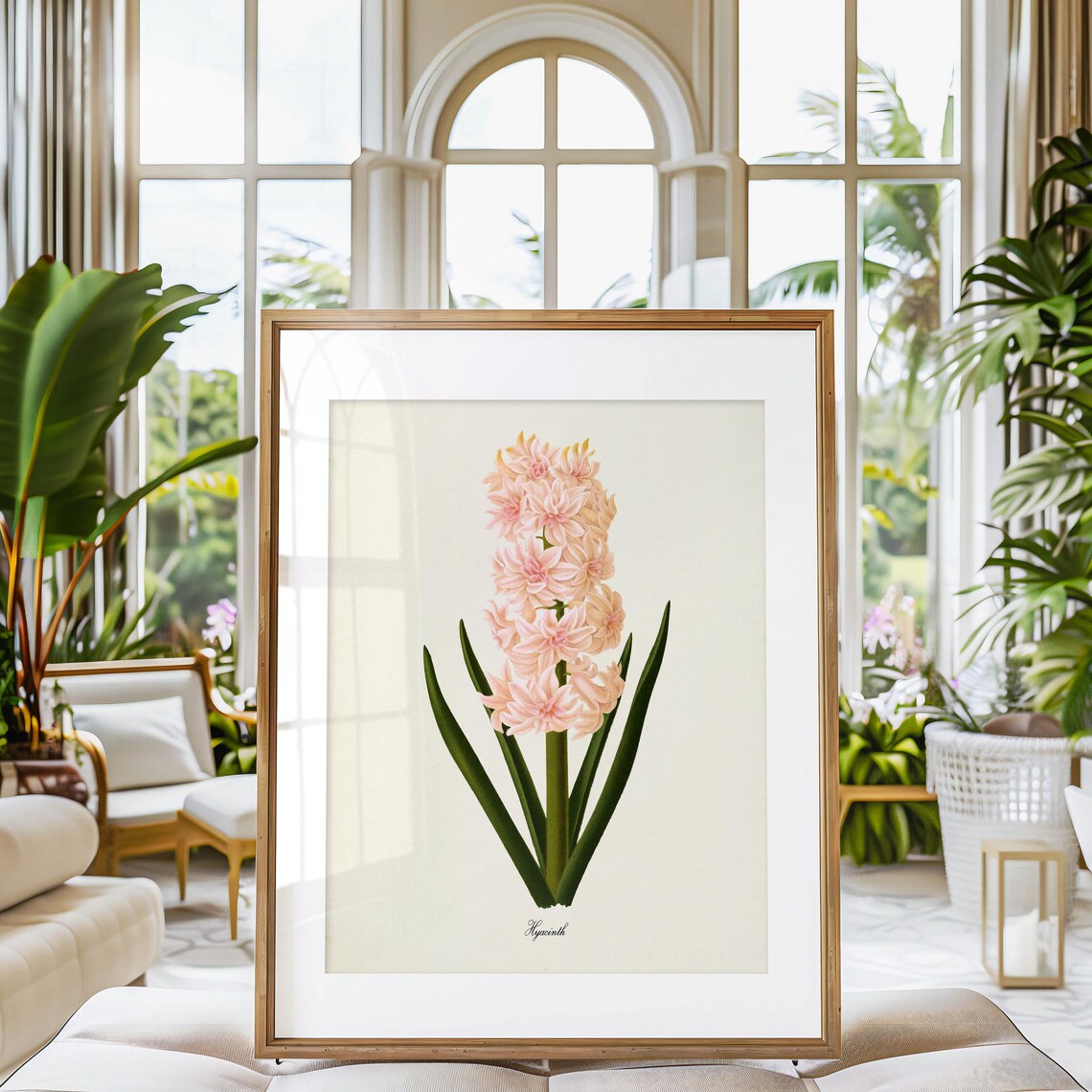 Hyacinth Flower Botanical Art Print, Pink Floral - Image 3