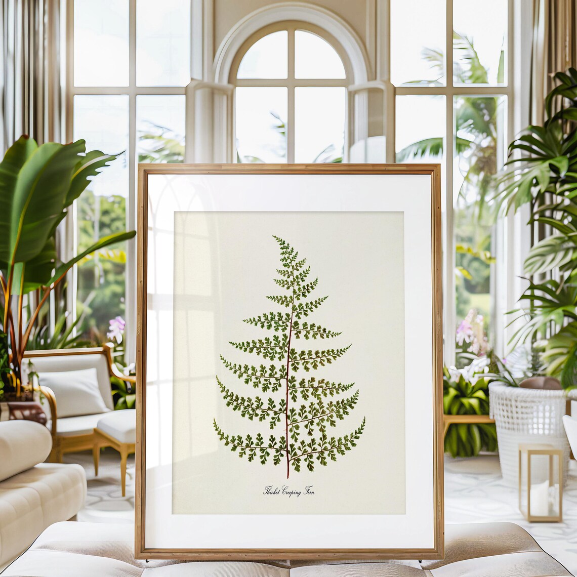 Thicket Creeping Fern Art Print, Botanical Decor - Image 3