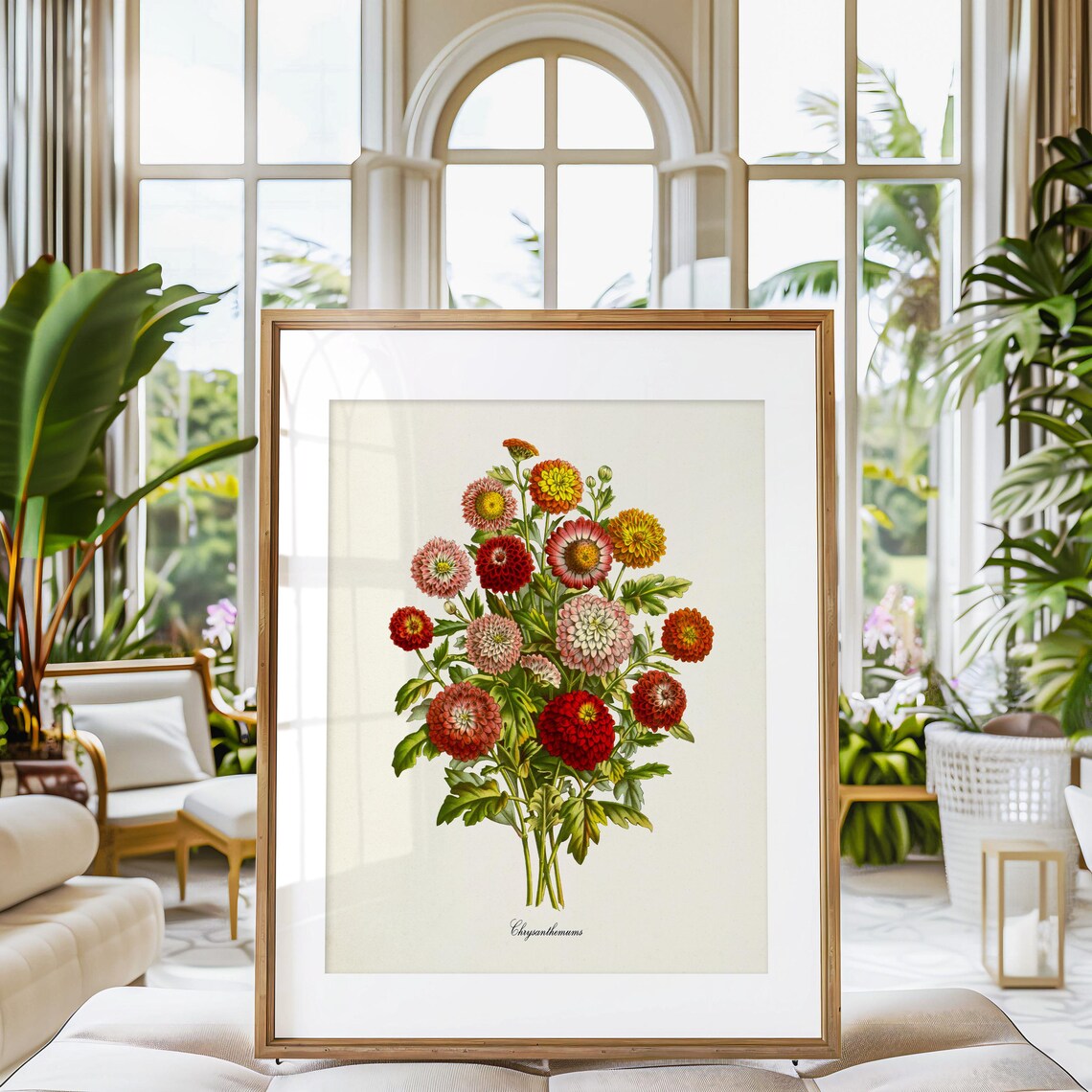 Chrysanthemum Flower Botanical Wall Art Print - Image 3