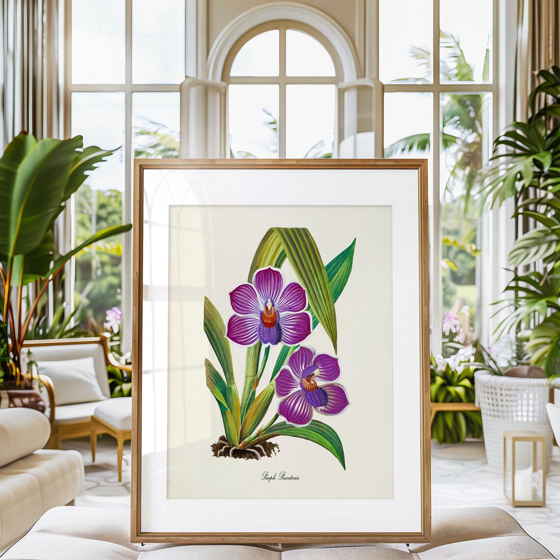 Purple Pescatoria Orchid Violet Striped Blooms Vintage Flower Poster - Image 3