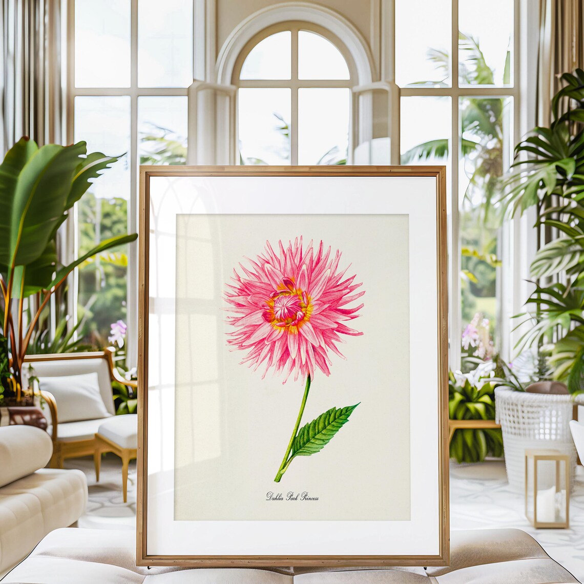Dahlia Park Princess Flower Botanical Art Print - Image 3