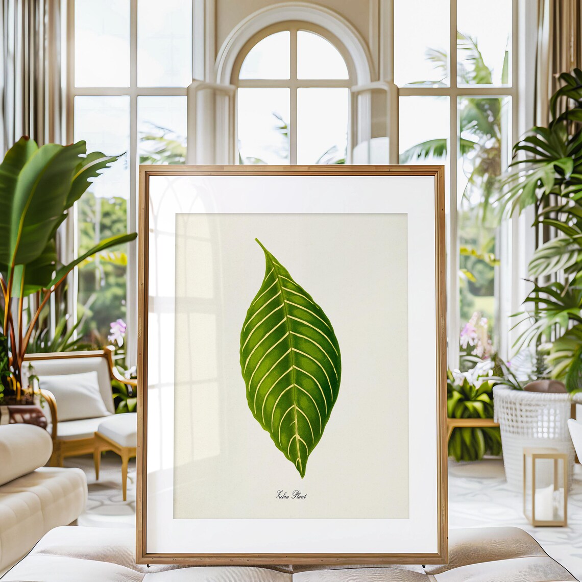 Zebra Plant Leaf Vintage Botanical Illustration Green Foliage Poster - Image 3