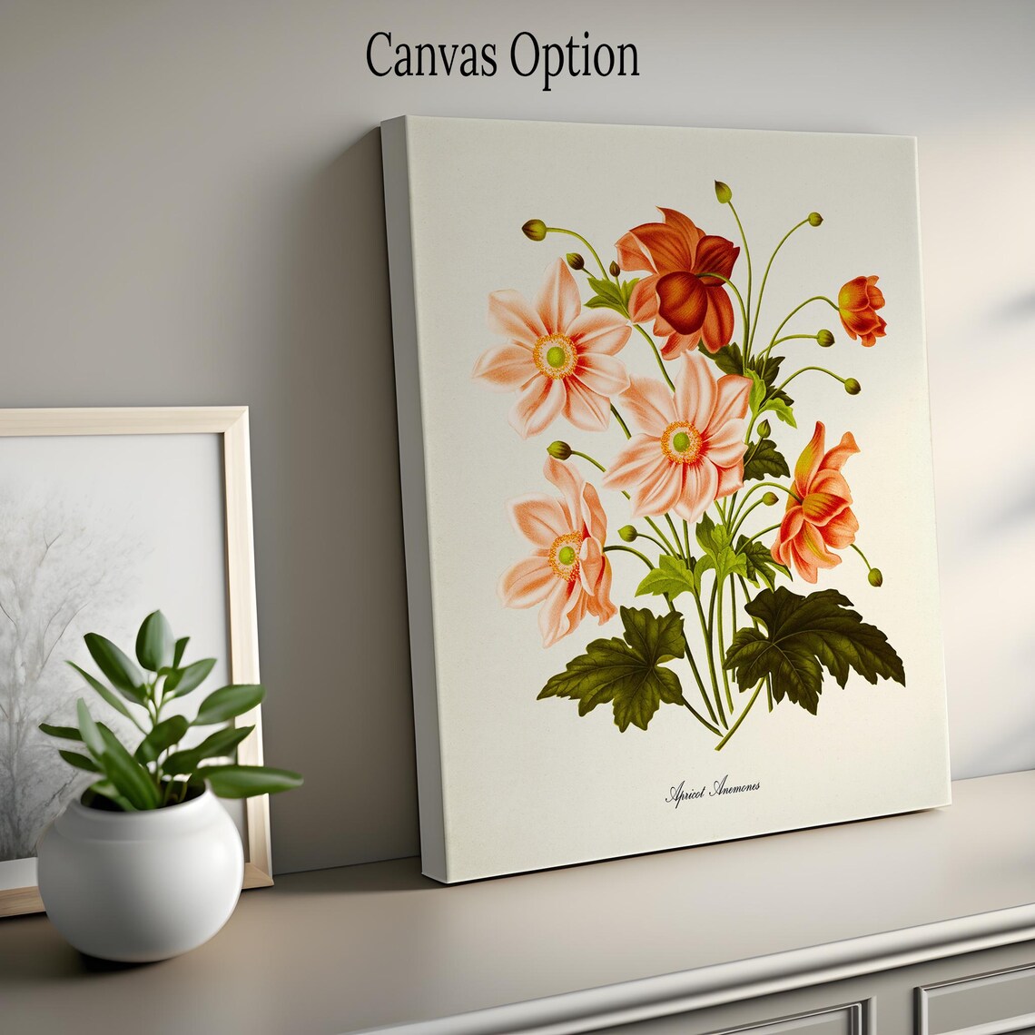 Anemone Flower Botanical Art Print, Apricot Flowers - Image 2