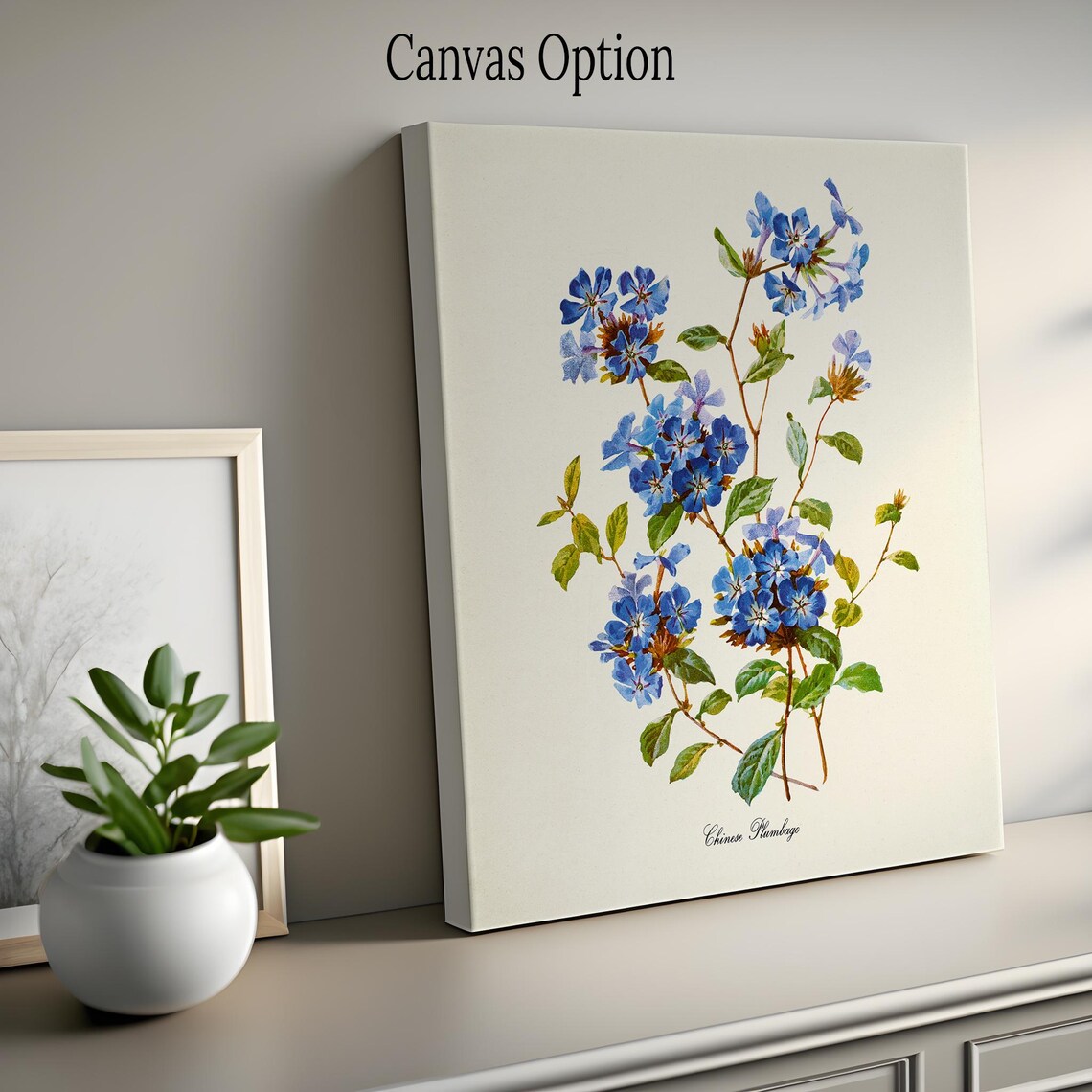 Chinese Plumbago Flower Botanical Wall Art Print - Image 2