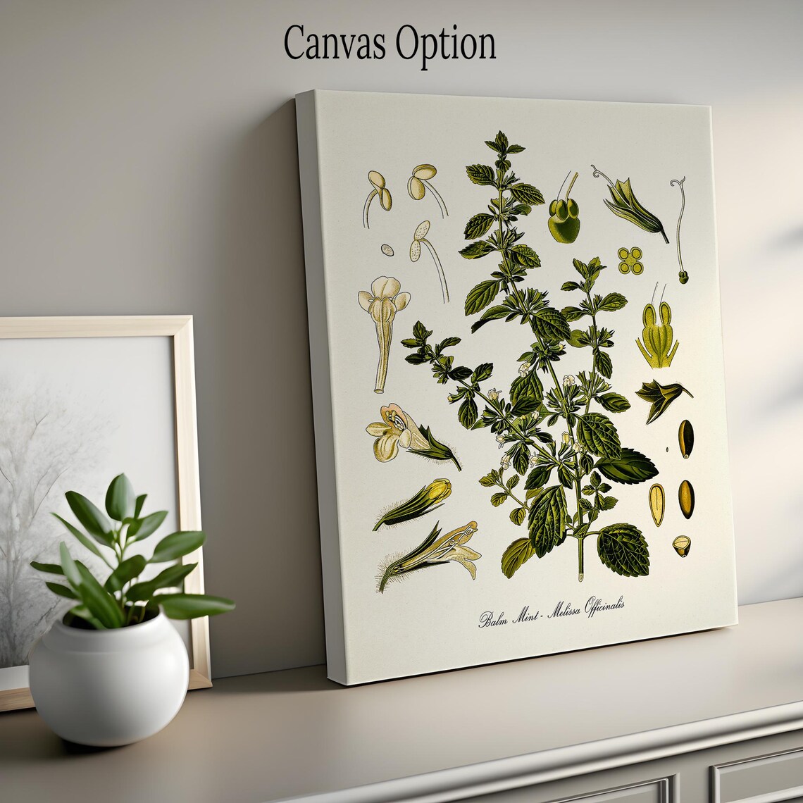 Balm Mint Botanical Art Print, Melissa Officinalis - Image 2