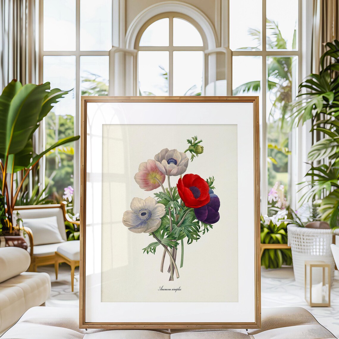 Anemone Simplex, Redoute-Inspired Botanical Art Print - Image 3