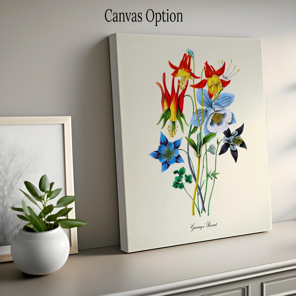 Granny's Bonnet Columbine Botanical Art Print - Image 2