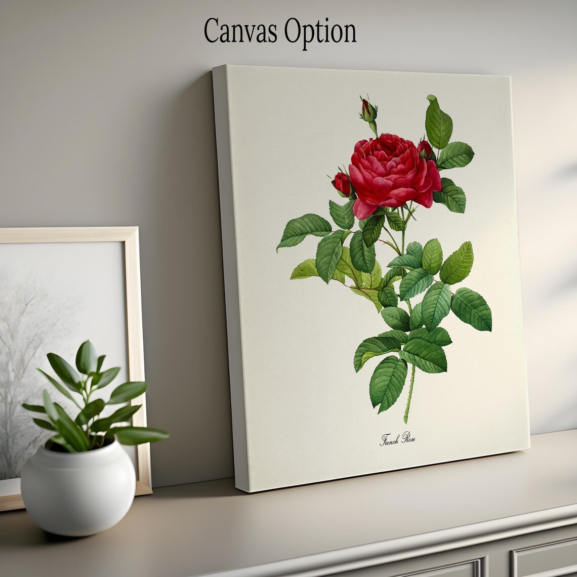 French Rose Botanical Art Print, Floral Wall Decor - Image 2