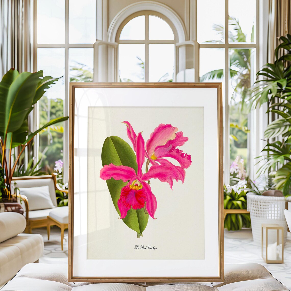 Hot Pink Cattleya Flower Botanical Art Print - Image 3