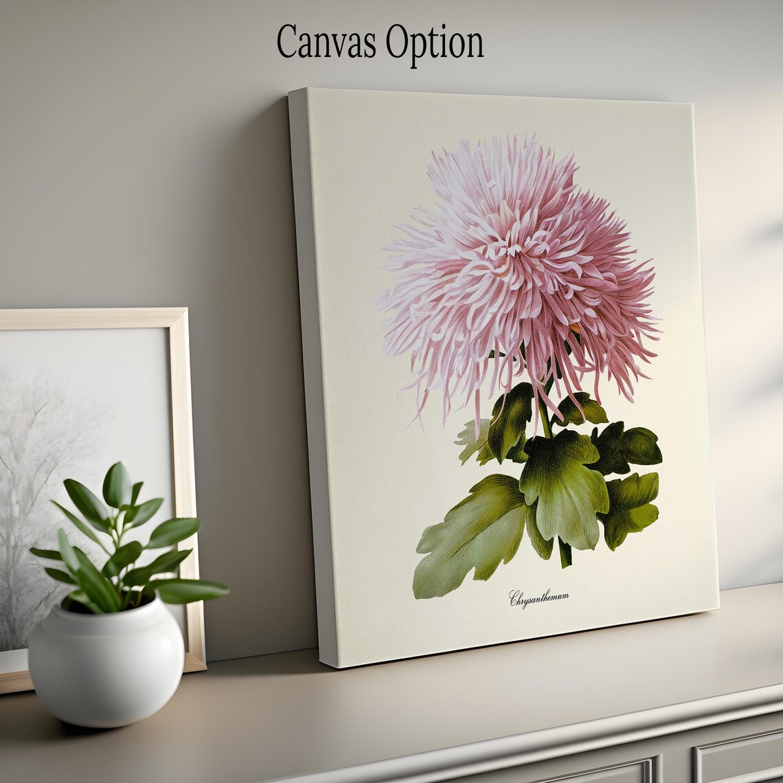 Pink Chrysanthemum Botanical Art Print, Floral Poster - Image 2