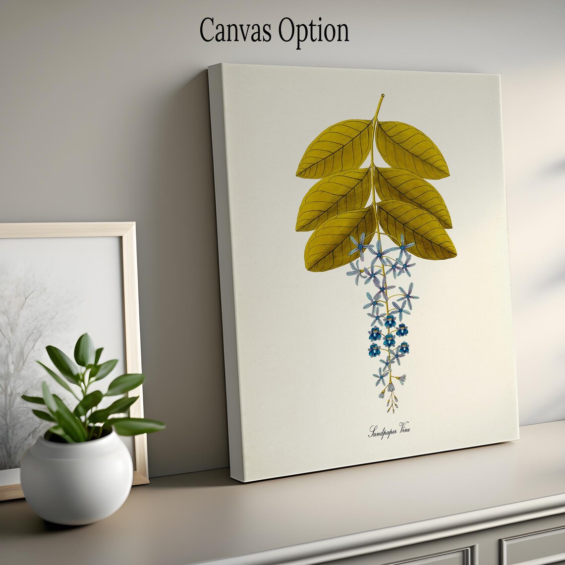 Sandpaper Vine Blue Flower Botanical Art Print - Image 2