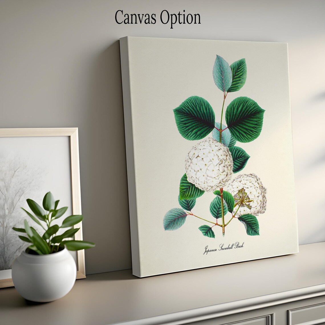 Japanese Snowball Bush Botanical Floral Art Print - Image 2