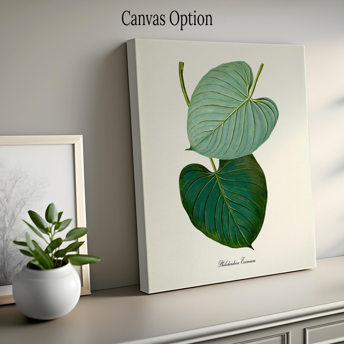 Philodendron Eximium Botanical Wall Art Print - Image 2