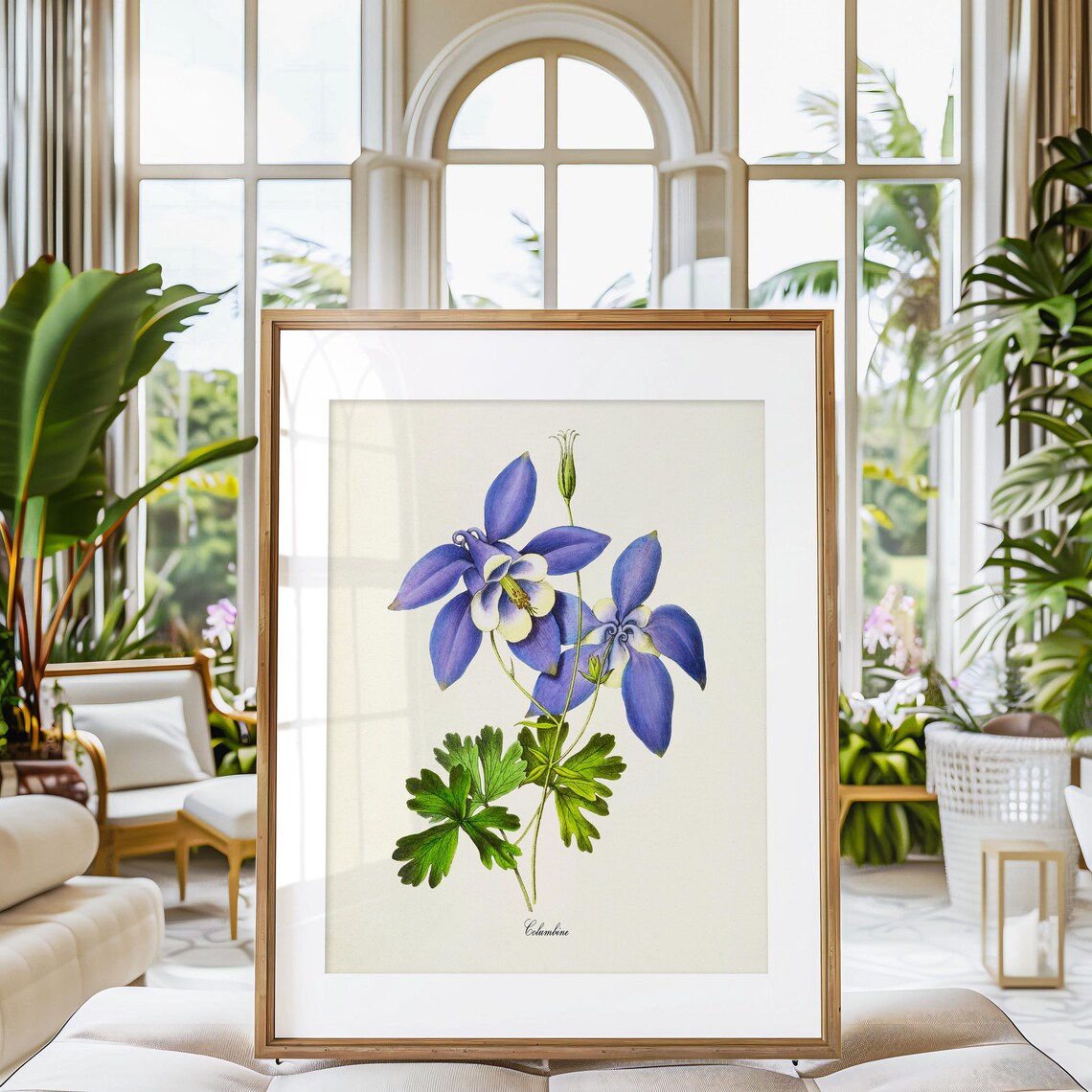 Columbine Flower Botanical Art Print, Blue Flower - Image 3