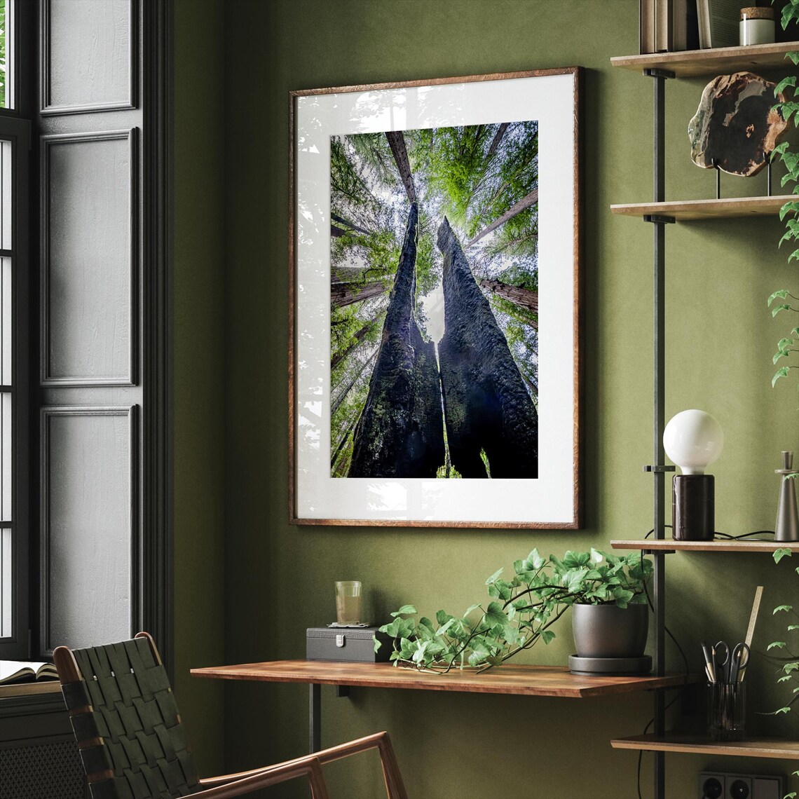Redwood Canopy Fine Art Photography Art Print - Image 4