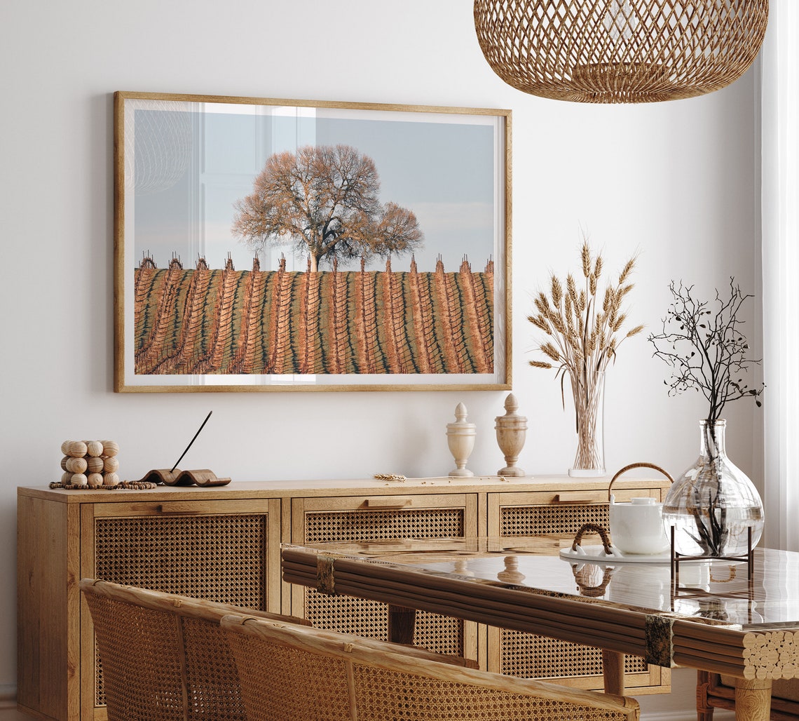 California Wine Country Vineyard Rows Lone Tree Golden Light Poster - Image 3