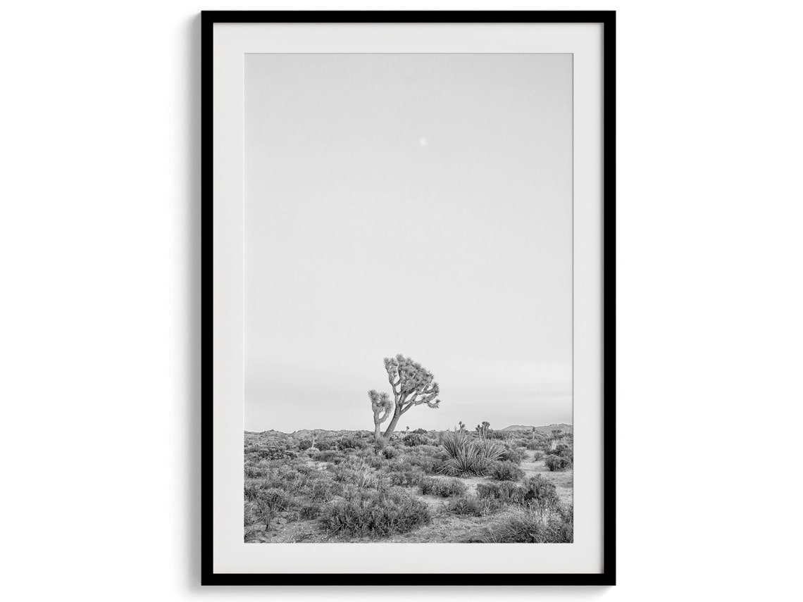 Joshua Tree National Park Desert Black White Minimal Landscape Poster - Image 5