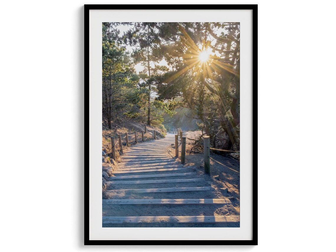 San Francisco Coast Sunset Forest Photography Art Print