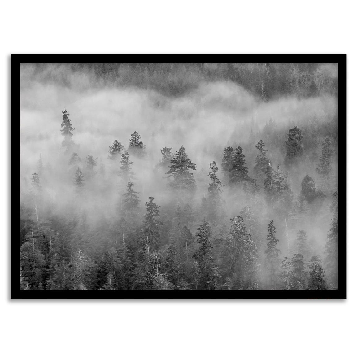 Black And White Foggy Pine Forest Misty Treetops Moody Nature Poster - Image 2