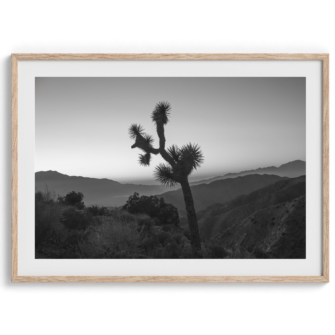 Joshua Tree Sunset, Monochrome Desert Art Print