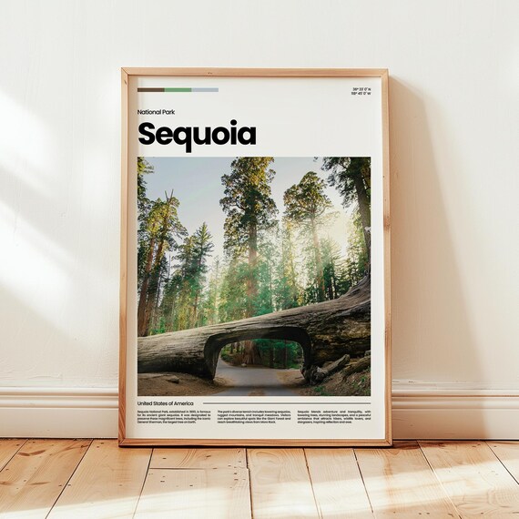 Sequoia Poster Print Photo National Park Travel Gift