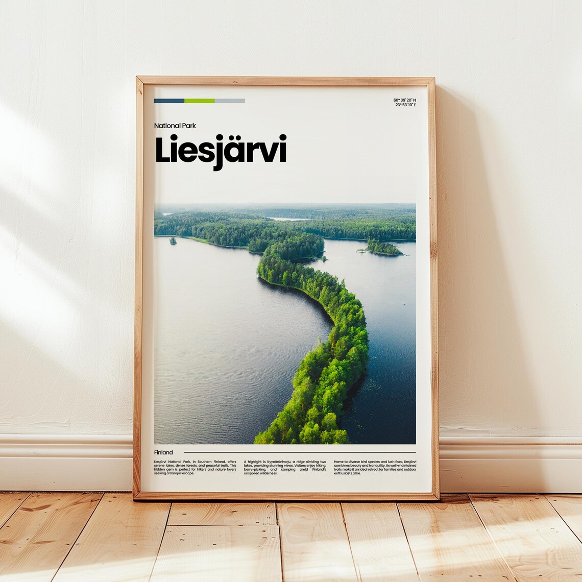 Liesjärvi National Park Curved Forest Shoreline Aerial Travel Poster