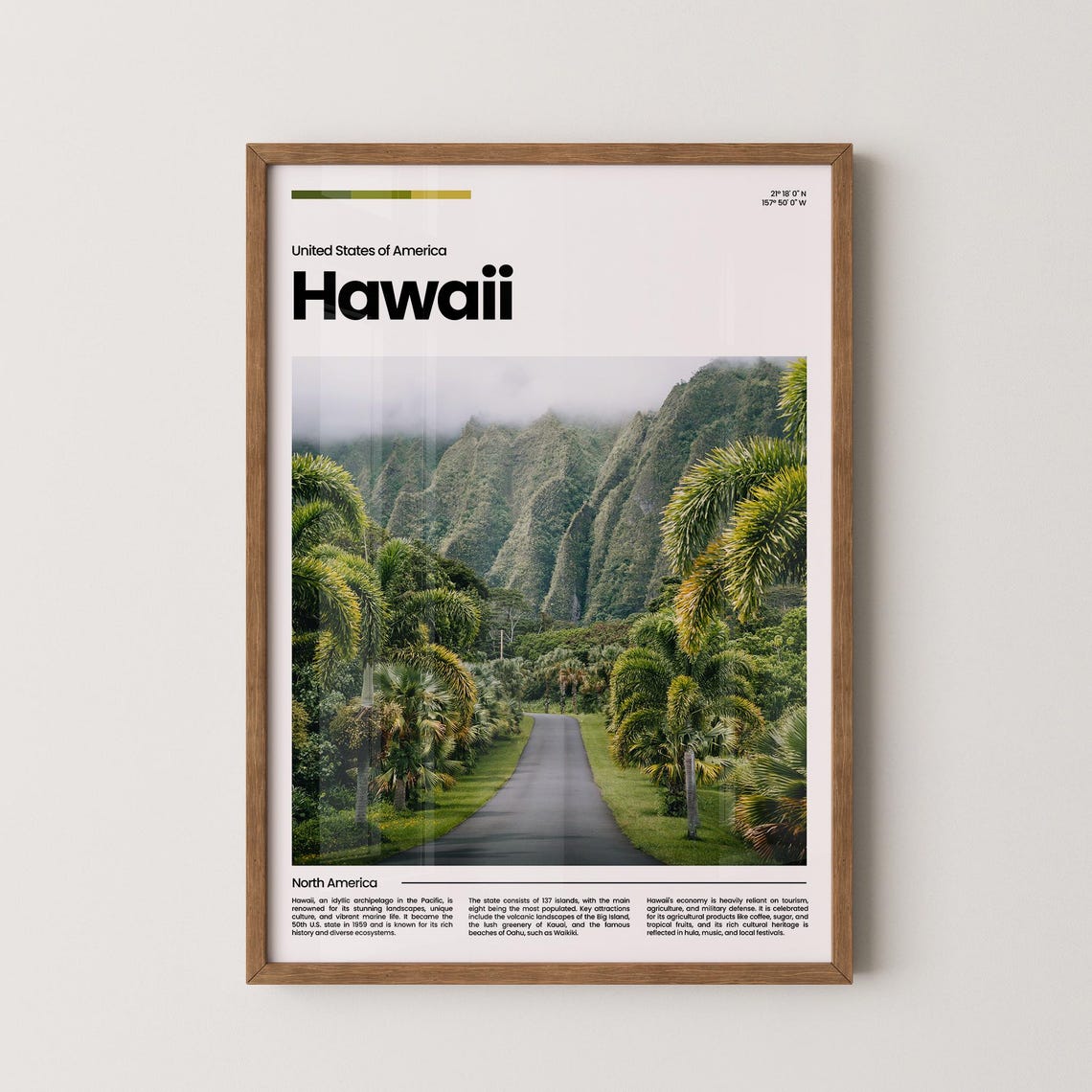 Hawaii Palm Road Lush Green Mountain Valley Tropical Scenic Poster