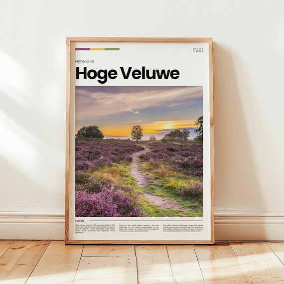 Hoge Veluwe Dutch National Park Purple Heath Sunset Travel Poster