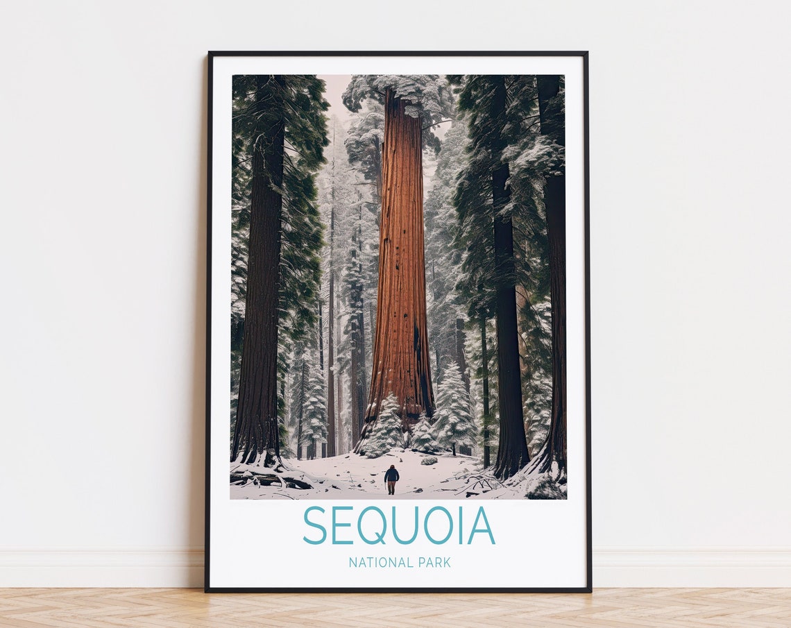 Sequoia National Park Winter Snow Giant Redwoods Forest Travel Poster
