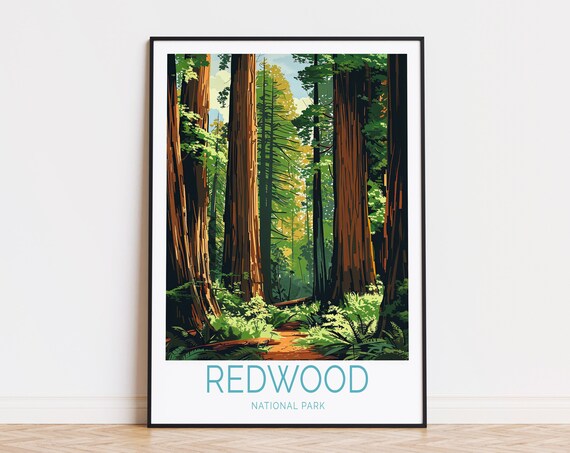 Redwood National Park Forest Trail Vintage Illustrated Travel Poster
