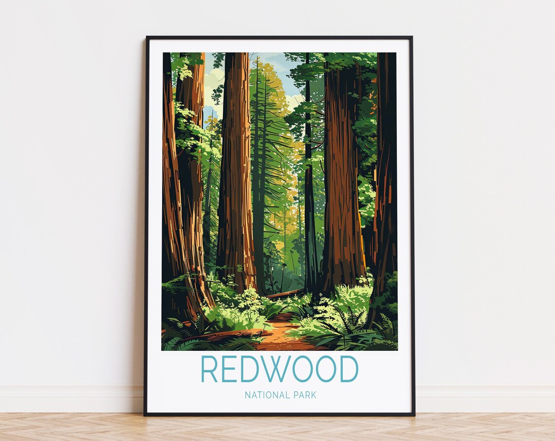 Redwood National Park Forest Trail Vintage Illustrated Travel Poster