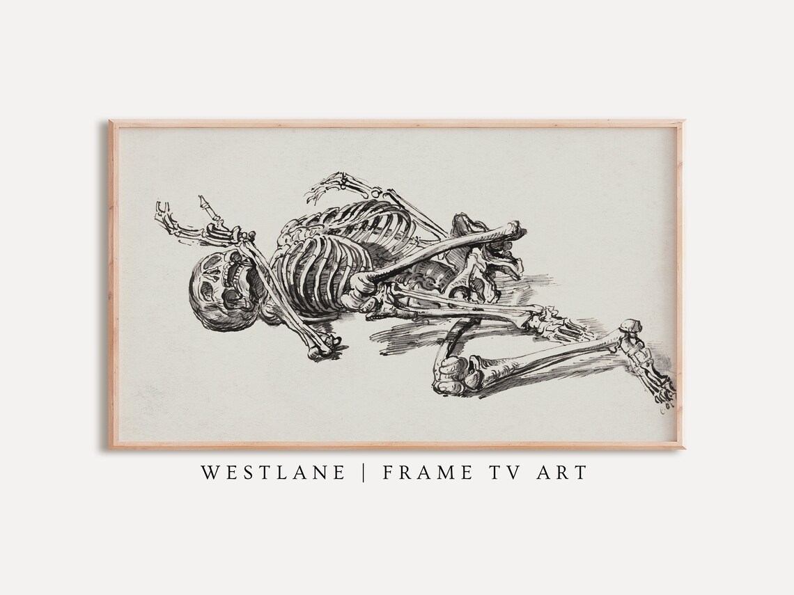 Vintage Reclining Skeleton Anatomy Sketch Dark Halloween Wall Art Poster