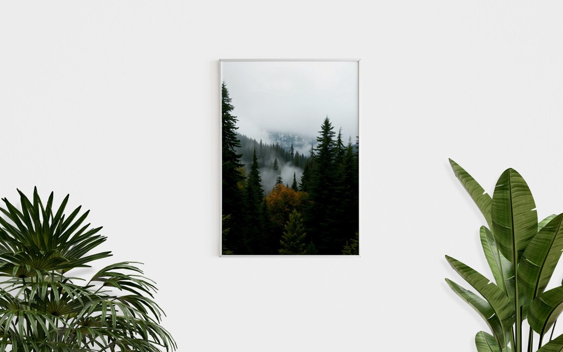 Misty Evergreen Forest Fog Mountain Peak Fall Nature Photo Poster - Image 2