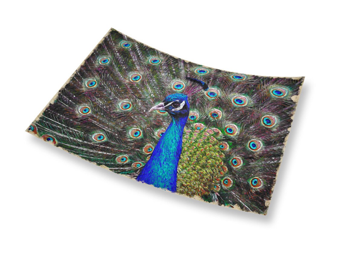 Peacock Fanned Tail Feathers Exotic Bird Painterly Wildlife Art Print - Image 2