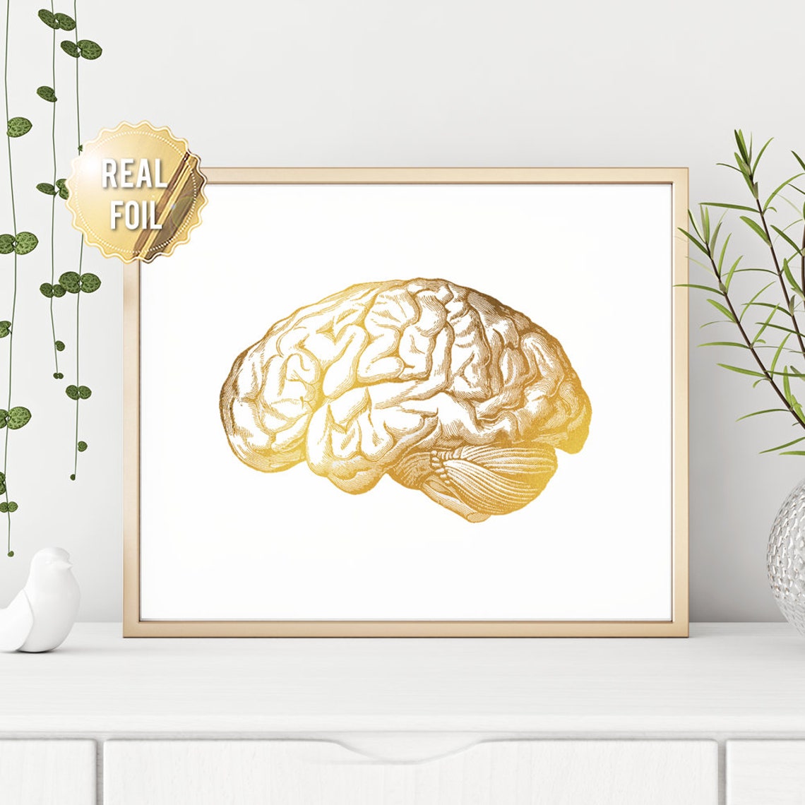 Gold Foil Human Brain Side View Vintage Neuroscience Art Print - Image 3